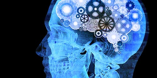 Neuropsicologia